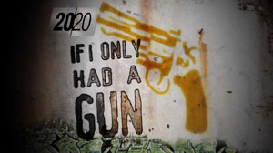 2020 guns