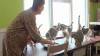 Cat Ladies: Why Do They Do It?