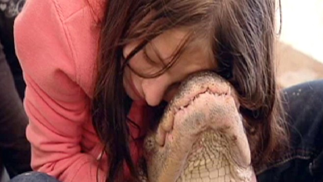 VIDEO: Samantha Young has a special bond with her alligator Pee Wee.