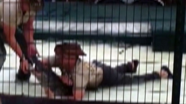 VIDEO: Alligator clamps down on trainer's arm.