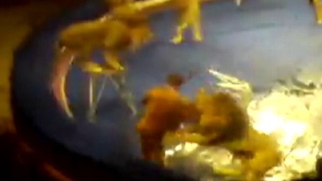 VIDEO: Lions attacked a tamer during a performance in Lviv, Ukraine in 2010.