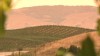 VIDEO: Sonoma County detective tracks shocking trail of murders on April 14, 1989.