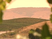 VIDEO: Sonoma County detective tracks shocking trail of murders on April 14, 1989.