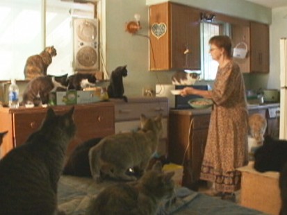 VIDEO: Inside the world of cat ladies