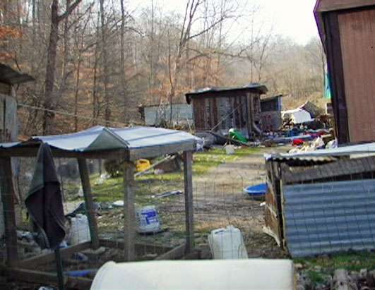Photo: Shawn's family's hollow.