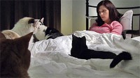 Hidden World of Women Who Hoard Cats