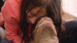 PHOTO Full grown crocodiles have the strongest bites on the planet, more so even than a great white shark, with a force equal to the weight of a pick-up truck.