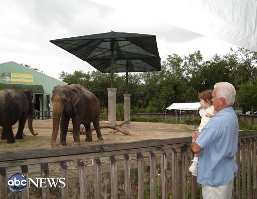Caylee Anthony and her grandfather George Anthony on a visit to the Sanford Zoo in Florida on May 27, 2007. George Anthony is determined to find out what happened to Caylee.