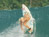 Shark Girl