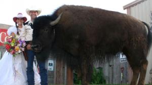 You Live With WHAT?! For these pet-owners, love comes in many sizes, and species.