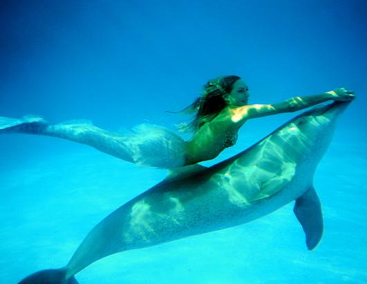 Watch RealLife Mermaids Swim With Sea Creatures