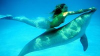 Real-Life Mermaids