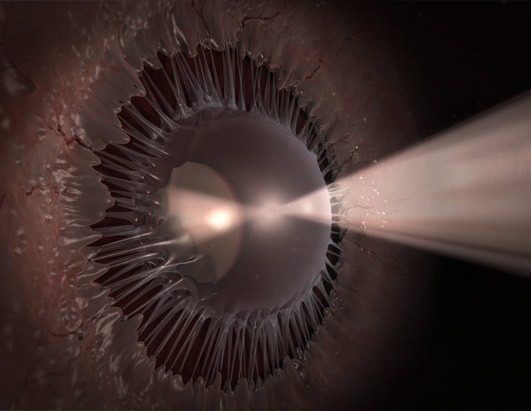 Inside the Living Body