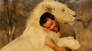 PHOTO: Lion Pride