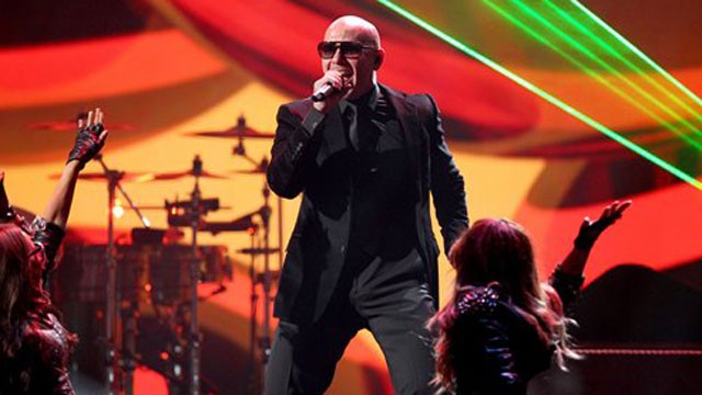 PHOTO: Pitbull