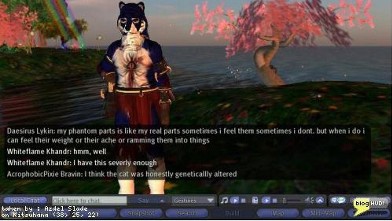 PHOTO: Otherkin chatting online via avatars.