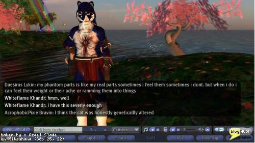 PHOTO: Otherkin chatting online via avatars.