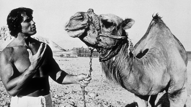 PHOTO: OCTOBER 1977: Bodybuilder Arnold Schwarzenegger poses with a camel in 1977 in Israel.