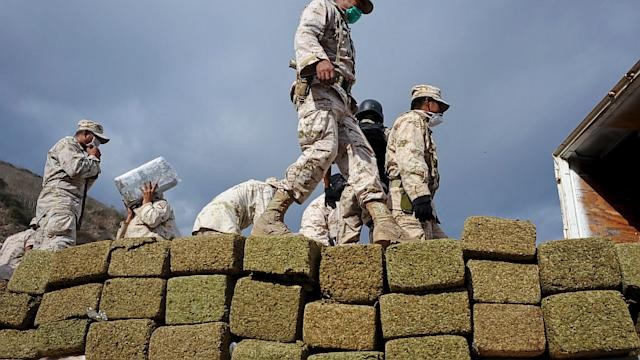 PHOTO: marijuana