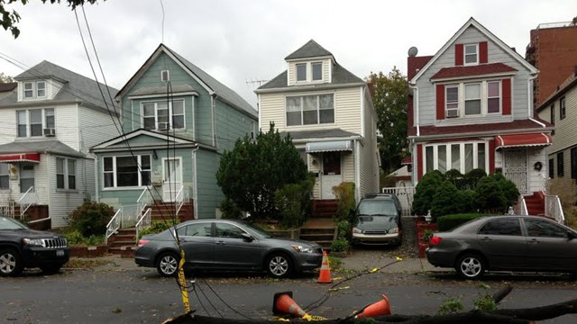 PHOTO:&nbsp;Downed tree in Rego Park, Queens, where the author's sister lives.