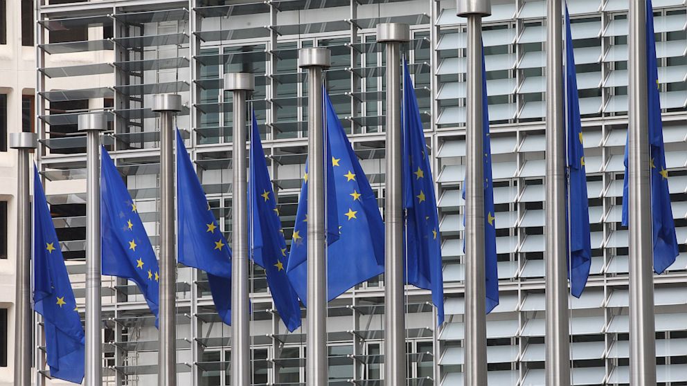 PHOTO: European Union Sweeps For Bugs