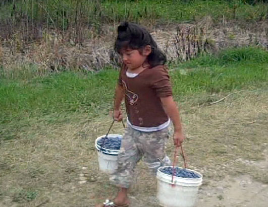 Young Children Found Working in Fields Across America