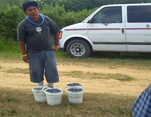 Young Children Found Working in Fields Across America