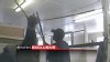VIDEO: Hidden-camera investigation finds alleged torture of Tennessee Walking Horses.