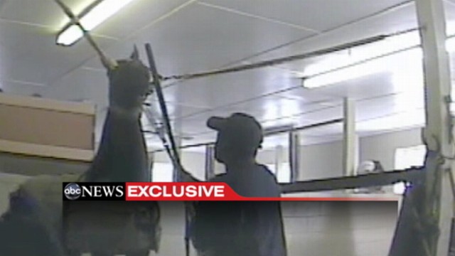 VIDEO: Hidden-camera investigation finds alleged torture of Tennessee Walking Horses.