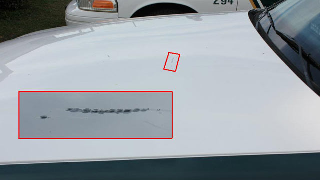 PHOTO: A Florida man bit a cop car as police struggled to restrain him after he repeatedly yelled at the officers to shoot him, according to a police report.
