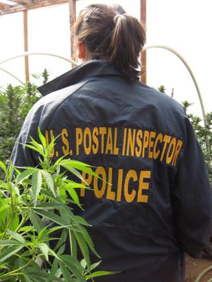 How Marijuana Is Sent Through the U.S. Mail