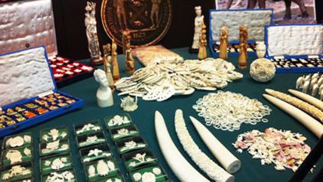 PHOTO: More than 70 boxes of endangered, illegal ivory goods seized by the Manhattan district attorney were put on display, July 12, 2012.