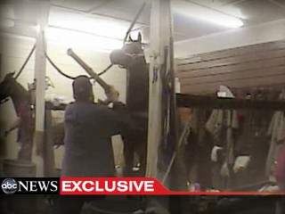 Tenn. Walking Horse Show Will Inspect for Abuse