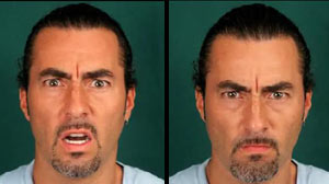 PHOTO trained agents to detect deception in travelers based in part on facial ?micro expressions