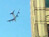 Plane Scare