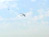 Plane Scare