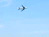Plane Scare