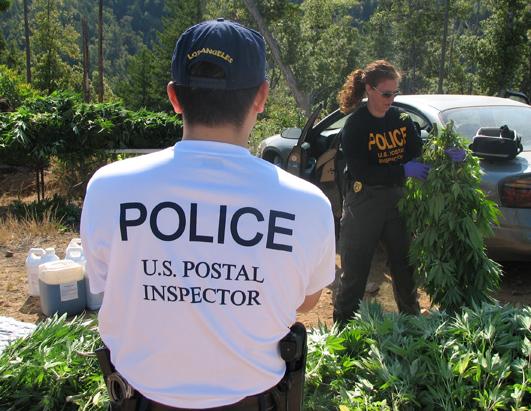 How Marijuana Is Sent Through the U.S. Mail