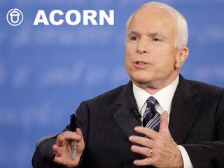 mccain_acorn2_081016_mn.jpg