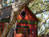 Luxury Treehouses