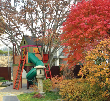 Luxury Treehouses