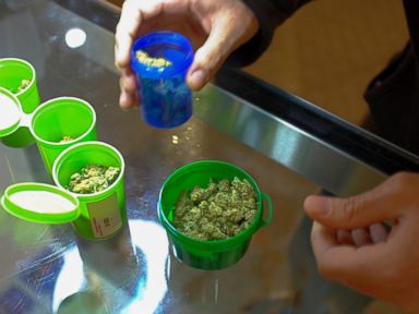 First-Ever Marijuana Job Fair May Draw 1,000