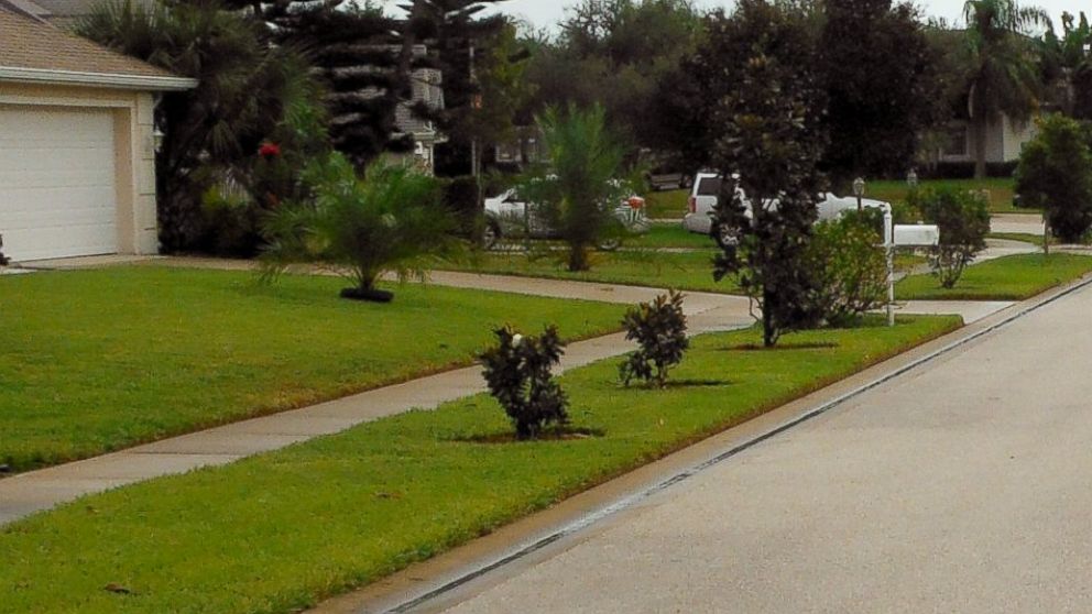 PHOTO: Man fined $5,000 for having trees that are too short.