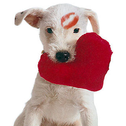  "I love you," but this heart squeaker can.