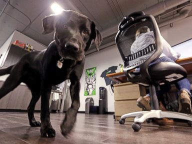 Companies offer quirky perks like guitar lessons, tattoos
