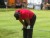 VIDEO: Tiger Woods' troubles