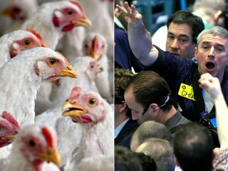 Chicken Traders