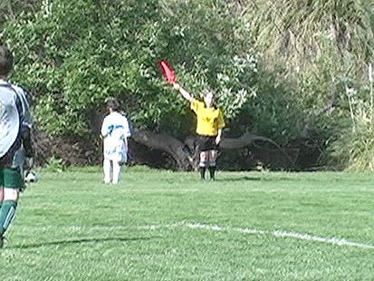 Make Money Refereeing