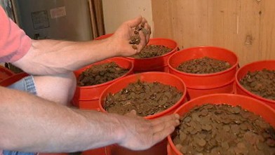 PHOTO: Inside a shed next to his house in Medford, Ore., Joe Henry has orange tubs filled with an astonishing 200,000 pennies. But Henry is only interested in those that are dated from 1982 and earlier because those are the coins that were made of copper.