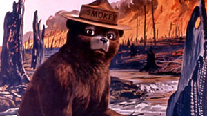PHOTO This poster from the U.S. Agriculture Dept. web site shows Smokey Bear in a poster.
